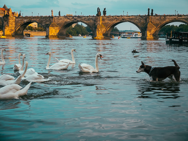 Prag2-MartinStrattner-41