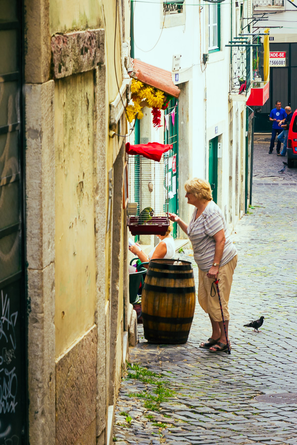 Lissabon-2-MartinStrattner-55