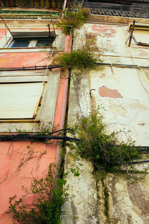 Coimbra-MartinStrattner-29