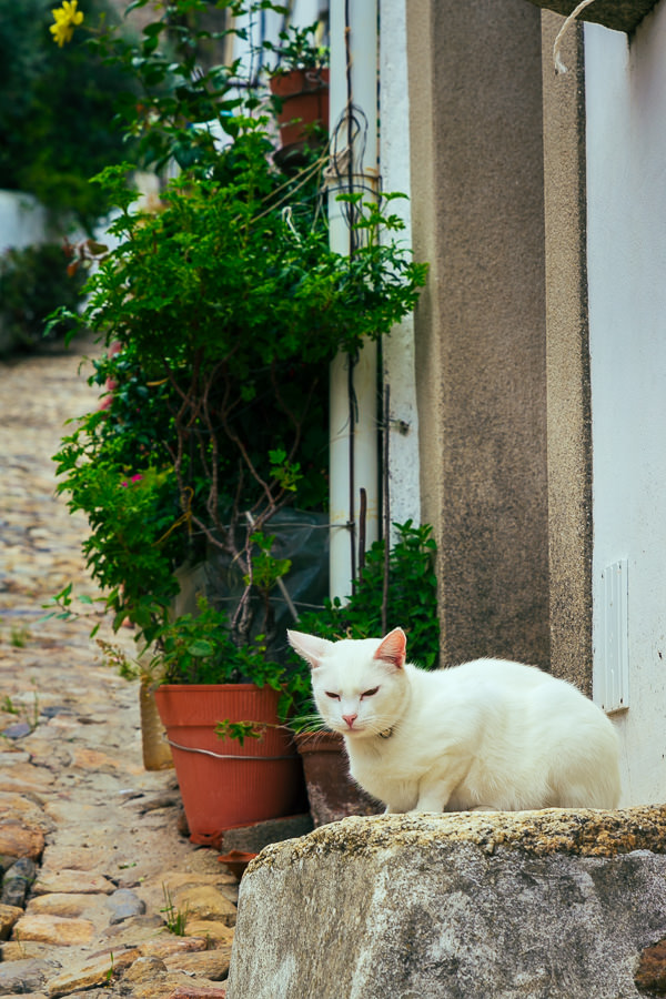 Marvão-MartinStrattner-32