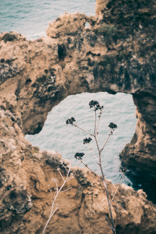 Ponta da Piedade-MartinStrattner-42