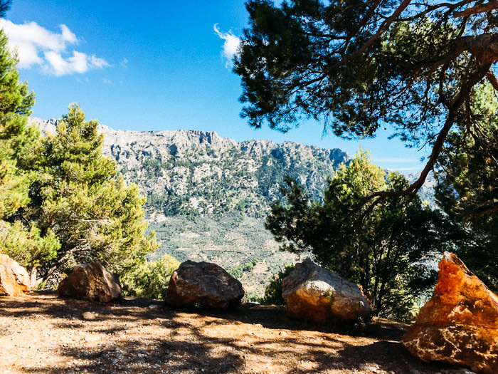 Mallorca_2-MartinStrattner-44