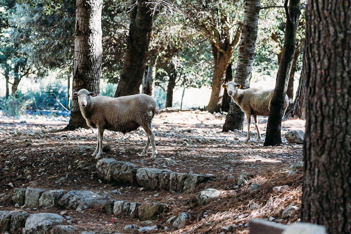 Mallorca_2-MartinStrattner-52