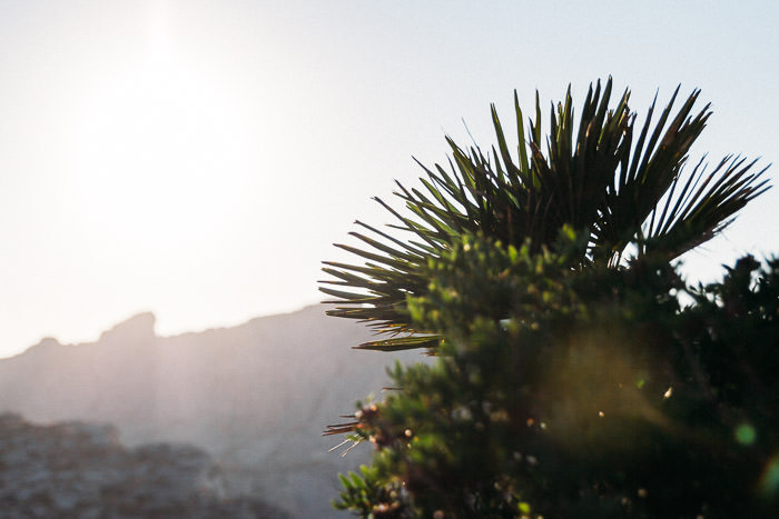 Mallorca_2-MartinStrattner-59