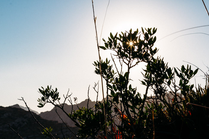 Mallorca_2-MartinStrattner-60